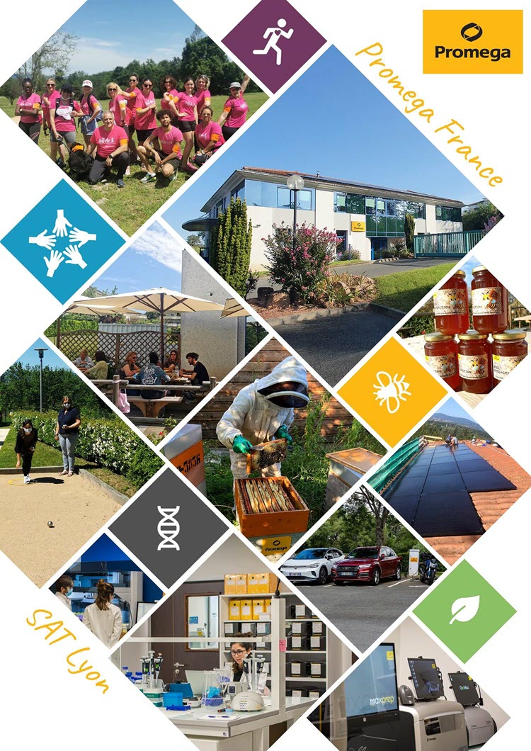 france-career-opportunities