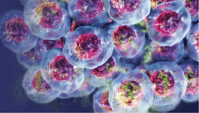 5-high-throughput-drug-screening-using-3d-cell-cultures