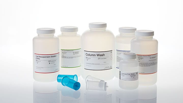 A2496-pureyield-plasmid-midiprep-system