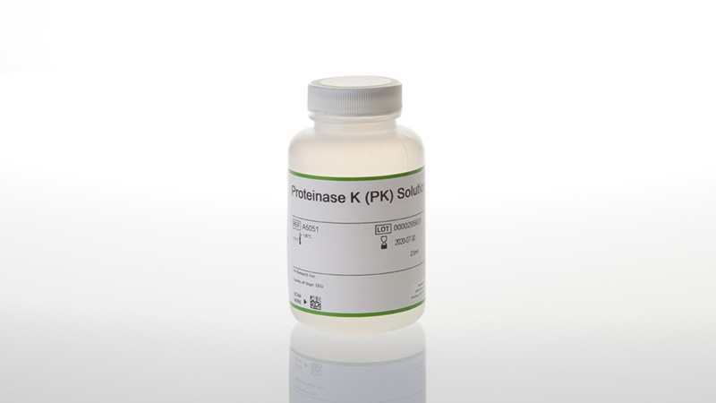 A5051-proteinase-k-pk-solution