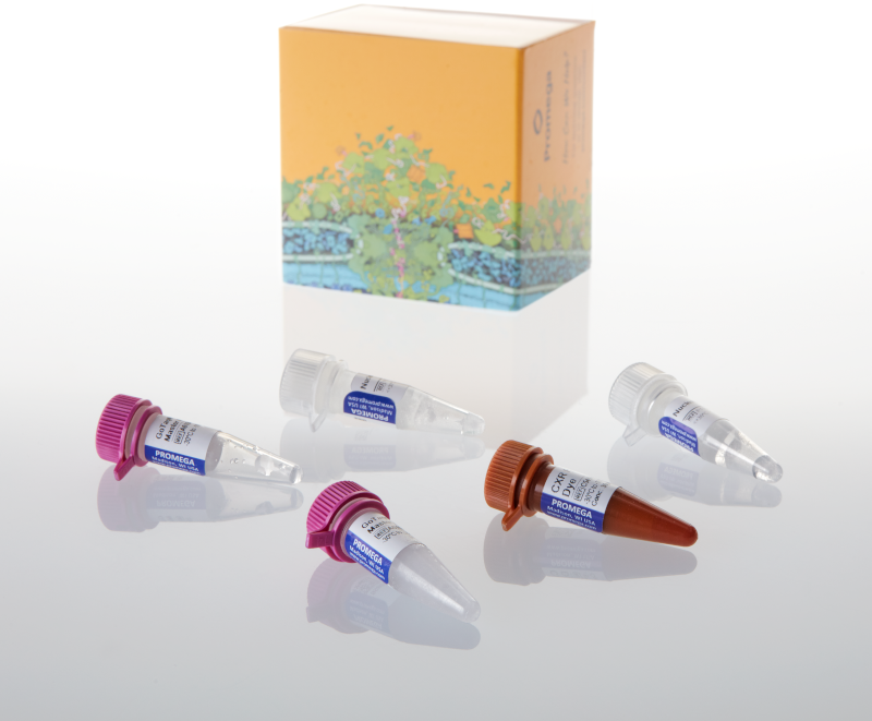 a6101gotaq-probe-qpcr-master-mix-2ml2