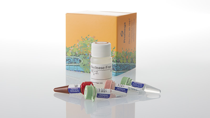 am2202-gotaq-legionella-spp-pneumophila-sg1-qpcr-kit