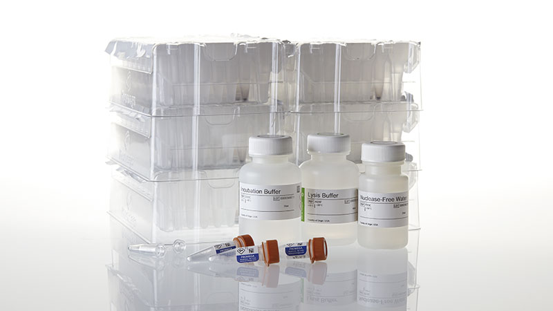as1770-maxwell-rsc-ffpe-plus-dna-kit-for-the-maxprep-liquid-handler
