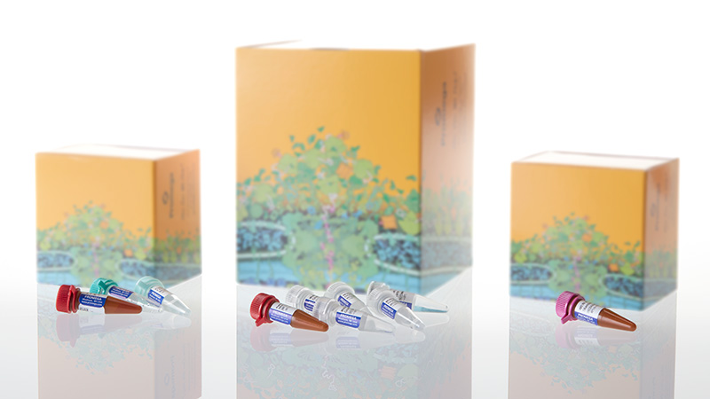 DC1721_PowerPlex--ESI-17-Fast-System--100rxn