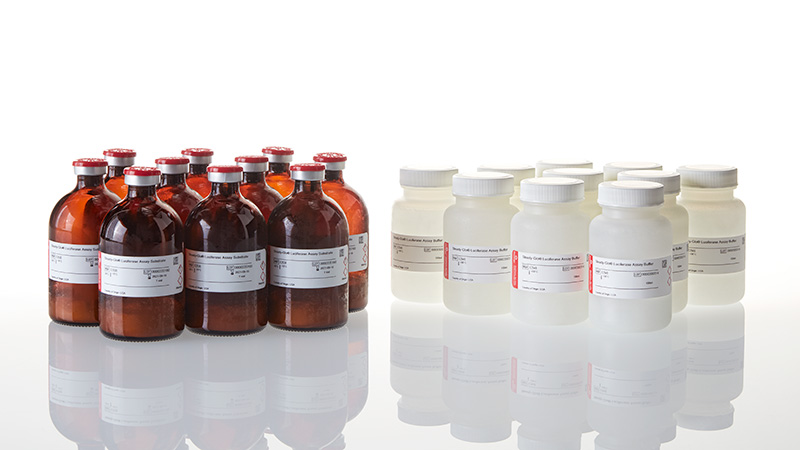 E2550_Steady-Glo--Luciferase-Assay-System_3