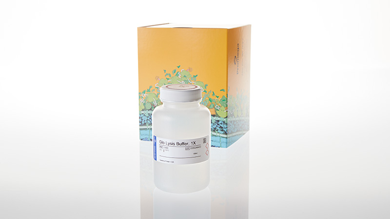 E2661-glo-lysis-buffer-1x
