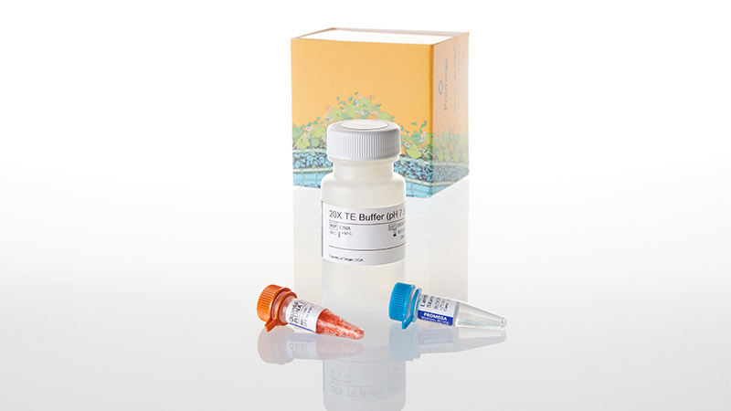 E2670-quantifluor-dsdna-system