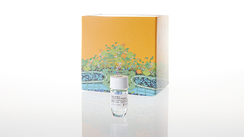 FuGENE 6 Transfection Reagent 0.5ml