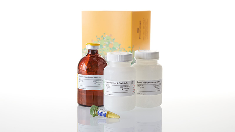 E2940_Dual-Glo--Luciferase-Assay-System--100ml_3