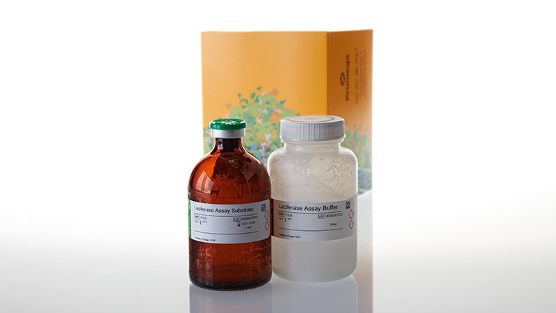 E4550_Luciferase-1000-Assay-System_3