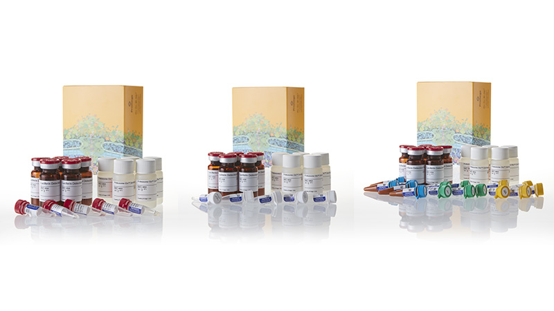 G1200_Cell-Based-Proteasome-Glo-Assays-3