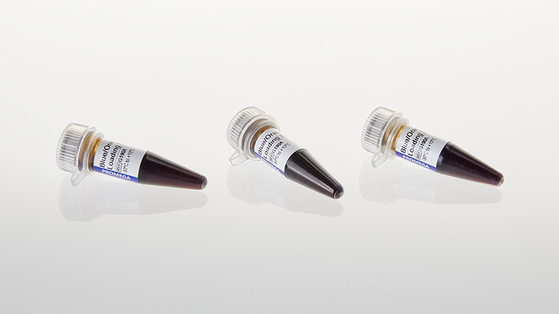 G1881-blue-orange-loading-dye-6x