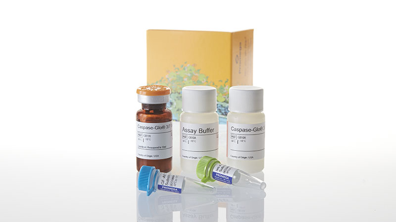 G6320_ApoTox-Glo--Triplex-Assay--10ml_3