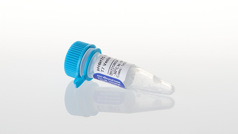 G8031_pH6HTC-His6HaloTag--T7-Vector_3