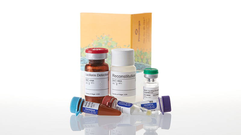 G9081_NADP-NADPH-Glo-Assay_3