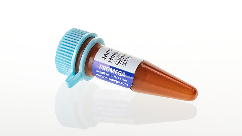 GA1120_Janelia-Fluor--646-HaloTag--Ligand_3