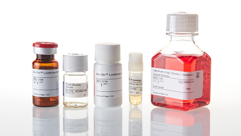 GA3001_VEGF-Bioassay--Korea-_3
