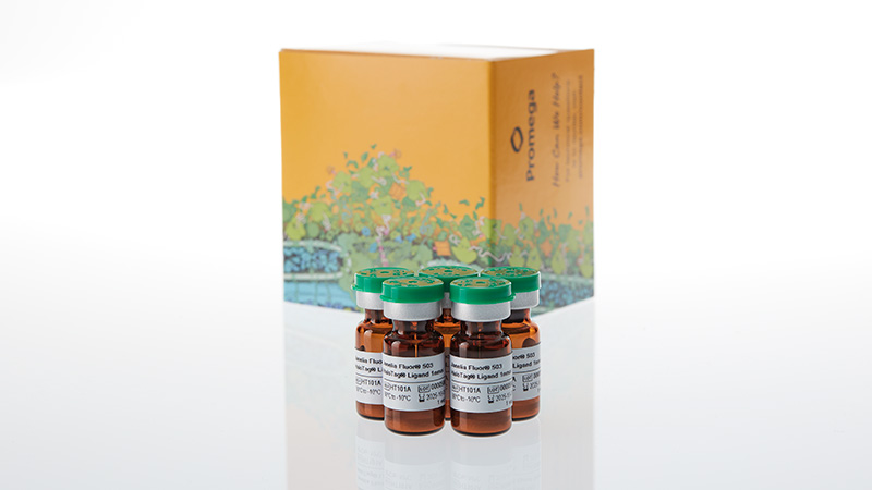 ht1010-janelia-fluor-503-halotag-ligand-3