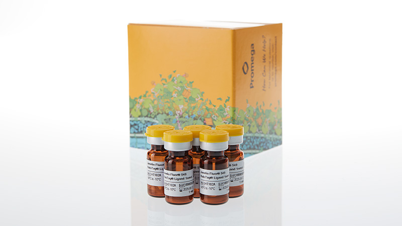 ht1020-janelia-fluor-549-halotag-ligand-3