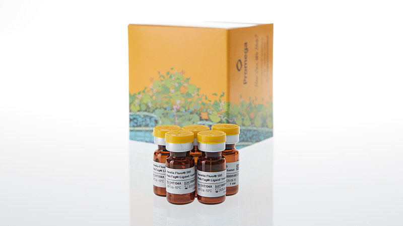 ht1040-janelia-fluor-585-halotag-ligand-3