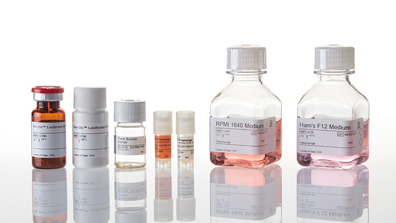 J2311_PD-1-TIGIT-Combination-Bioassay--Korea_3