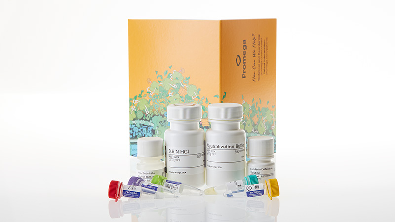 j4051-pyruvate-glo-assay-5-ml