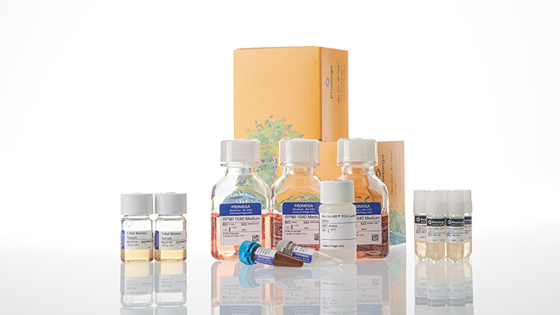 ja1615-raji-ldh-hibit-cd19-ko-tck-bioassay-5x-korea