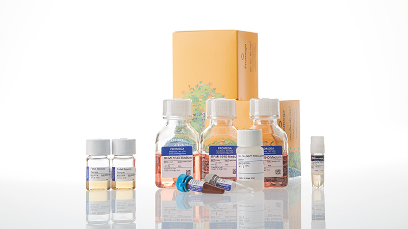 ja1621-raji-ldh-hibit-cd20-ko-tck-bioassay-korea