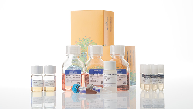 ja1625-raji-ldh-hibit-cd20-ko-tck-bioassay-5x-korea