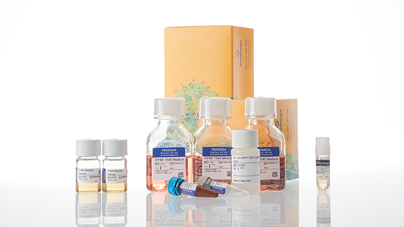 ja1631-raji-ldh-hibit-cd1920-ko-tck-bioassay-korea