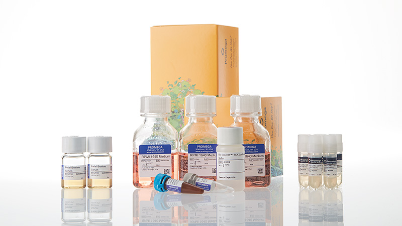 ja1635-raji-ldh-hibit-cd1920-ko-tck-bioassay-5x-korea