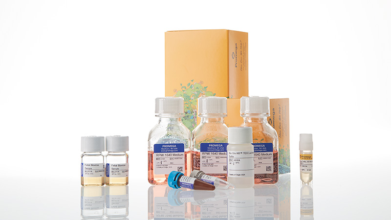 ja1641-raji-ht-hibit-cd19-ko-tck-bioassay-korea