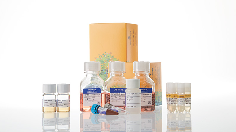 ja1645-raji-ht-hibit-cd19-ko-tck-bioassay-5x-korea