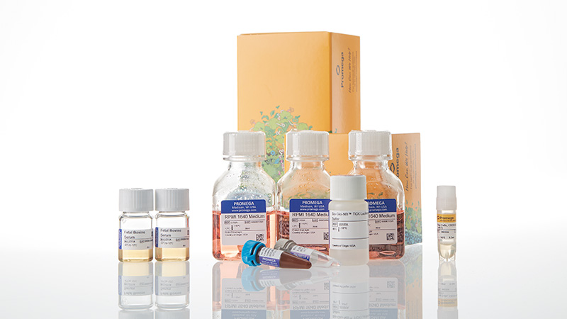 ja1651-raji-ht-hibit-cd20-ko-tck-bioassay-korea