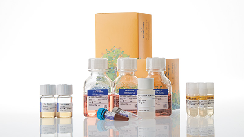 ja1655-raji-ht-hibit-cd20-ko-tck-bioassay-5x-korea