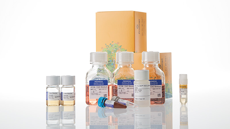 ja1661-raji-ht-hibit-cd19-20-ko-tck-bioassay-korea