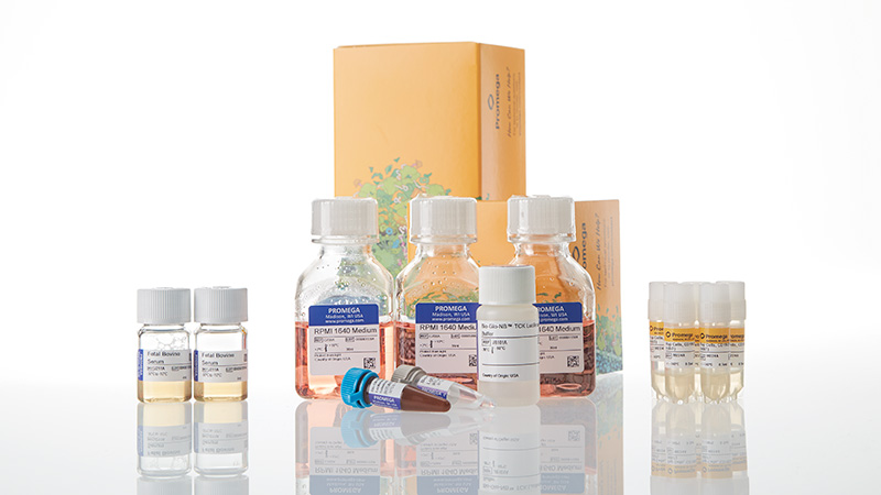 ja1665-raji-ht-hibit-cd19-20-ko-tck-bioassay-5x-korea