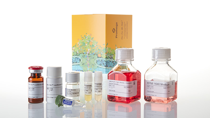 ja2111-lag3-mhciiblockade-bioassay-korea
