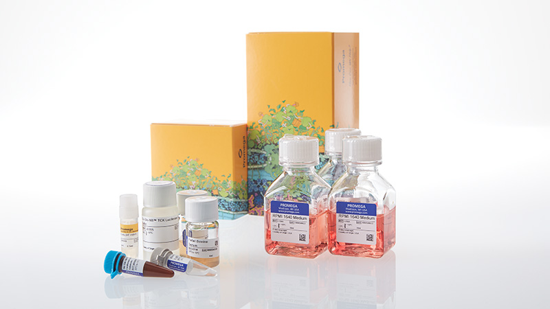 ja2441-raji-ht-hibit-tck-bioassay-korea