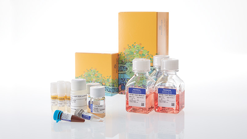 ja2445-raji-ht-hibit-tck-bioassay-5x-korea