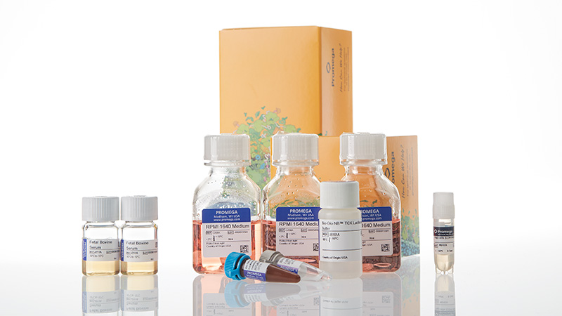 ja2451-raji-ldh-hibit-tck-bioassay-korea