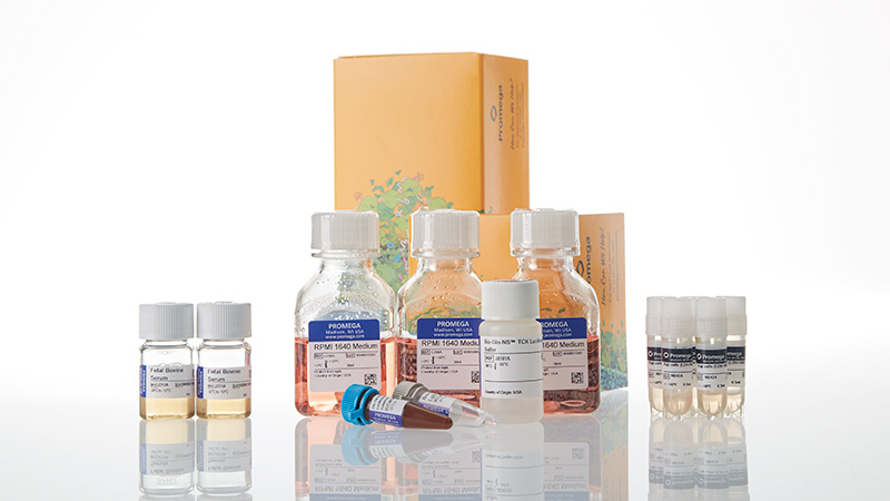 ja2455-raji-ldh-hibit-tck-bioassay-5x-korea