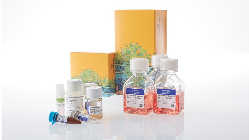 ja2461-ramos-hibit-tck-bioassay-korea