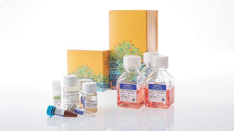 ja2471-h929-hibit-tck-bioassay-korea