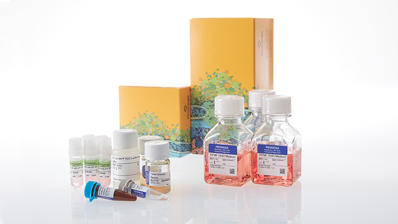 ja2475-h929-hibit-tck-bioassay-5x-korea