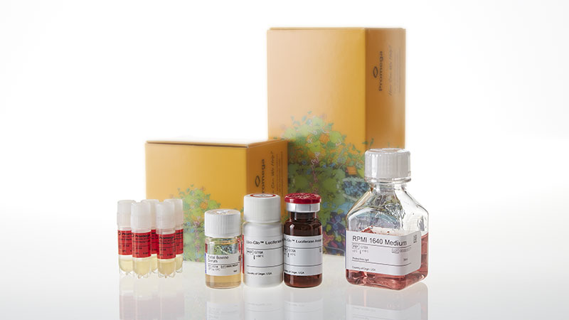 JA3155_CD40-BIOASSAY--KOREA-_3