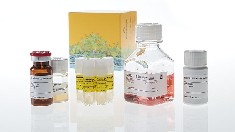 JA3195_OX40-Bioassay-5X--Korea-_3