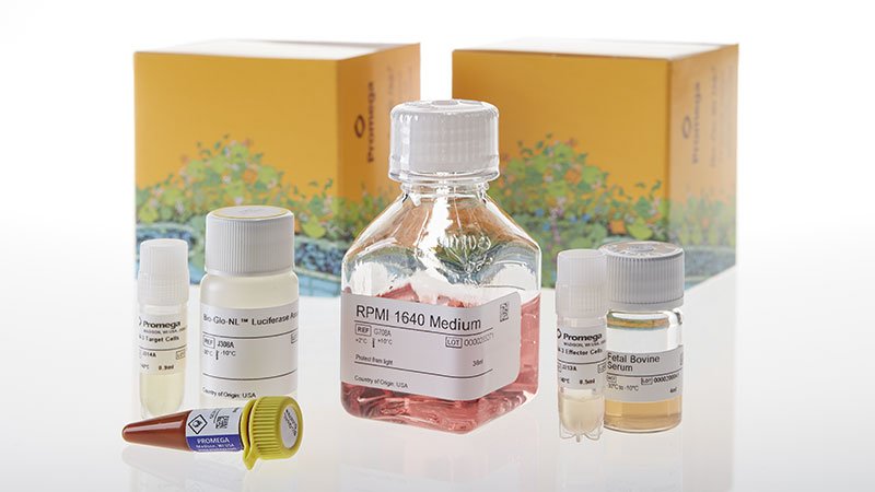 JA3211_-TIM-3-Bioassay--Korea-_3