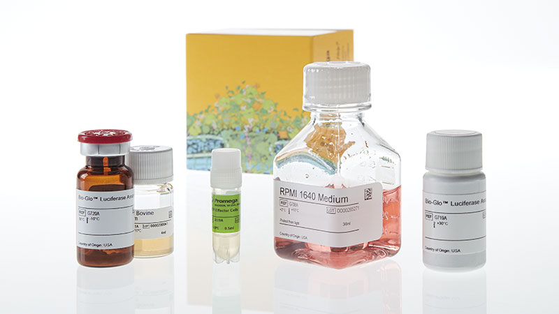 JA3291_-GITR-Bioassay--Korea-_3