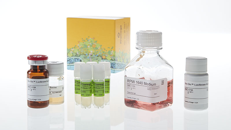 JA3295_GITR-Bioassay-5X--Korea-_3